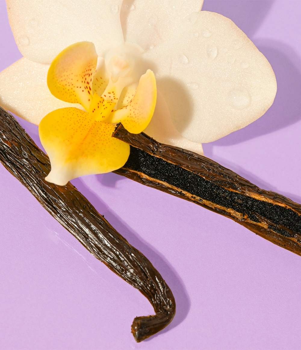 Vanilla Bean 2-Pack Lip Balm - eos