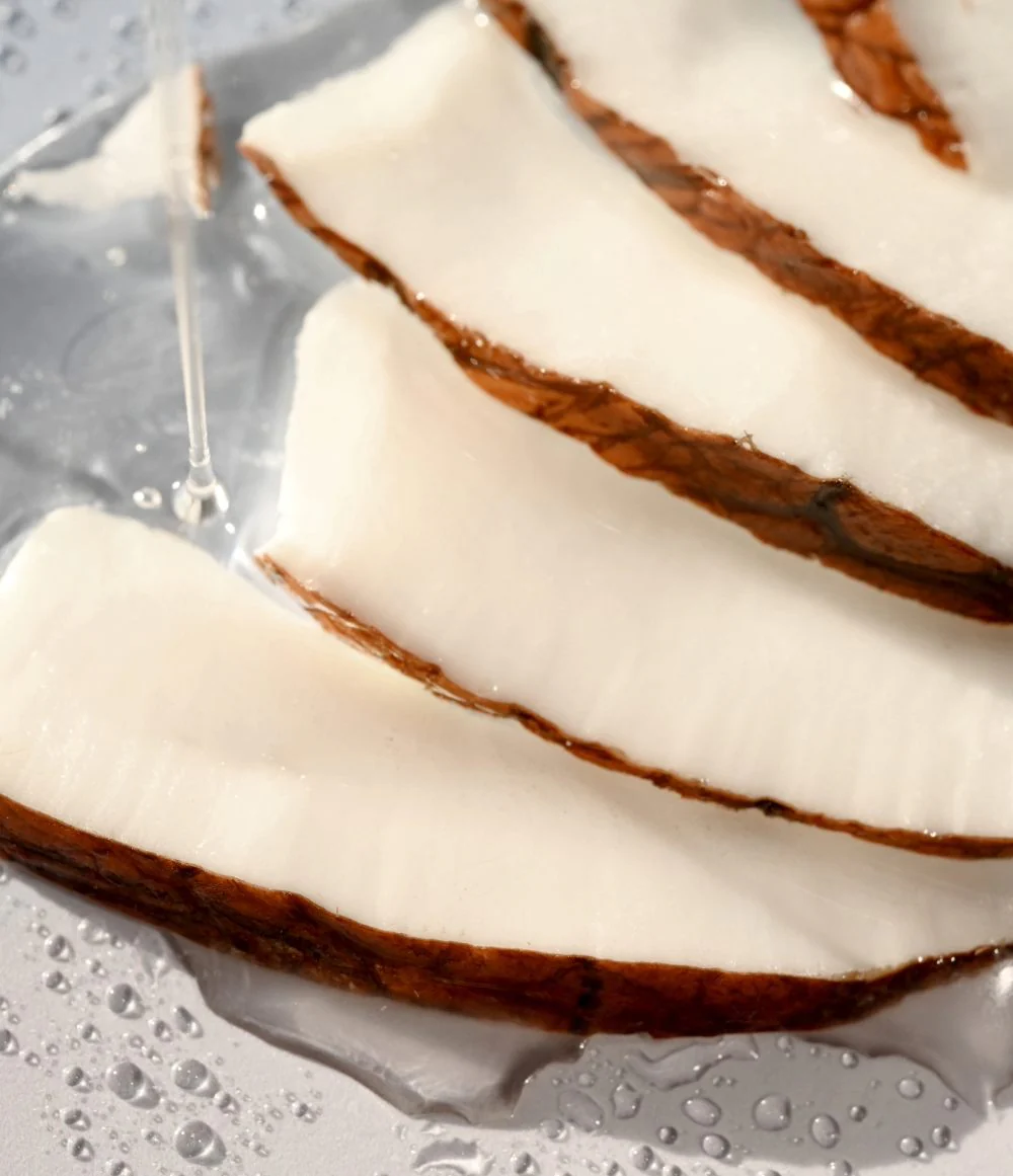 Coconut Milk 2-Pack Lip Balm - eos