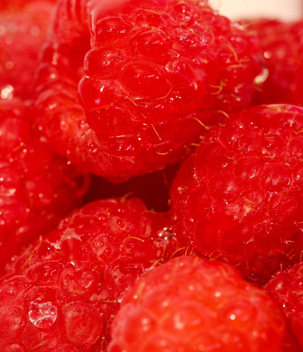 Razzle Dazzle 4-Pack Lip Balm - eos